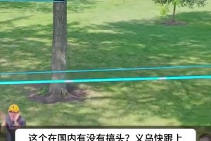 国外很火的不运球篮球，谁来打这个最受益？🤔