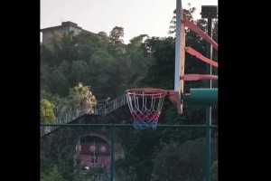 张镇麟上海男篮国内首秀！状态低迷，王哲林拉杆！