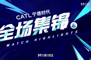 [集锦]意甲-93分钟绝杀！国米2-1维罗纳距榜首1分